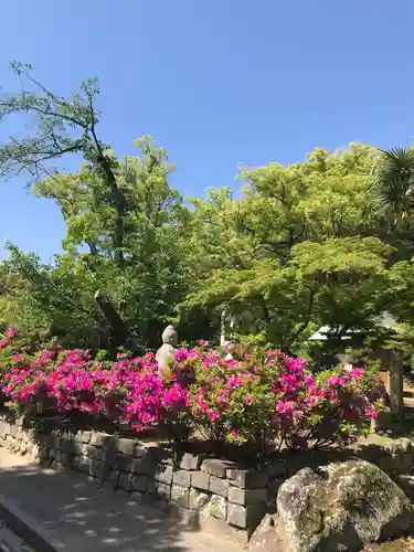伊勢の国 四天王寺の庭園