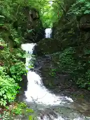 九頭龍神社の自然