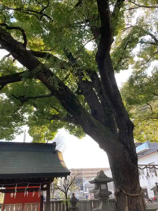 天神社(桑津天神社)(大阪府)