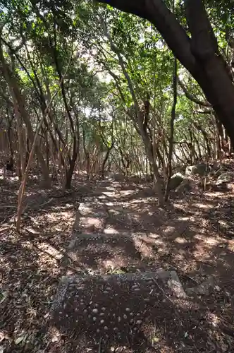 龍宮神社(高知県)