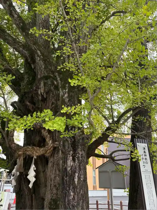 津島神社(愛知県)