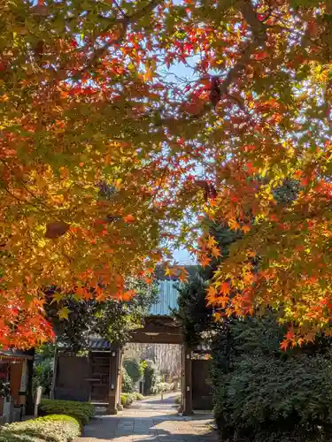 福蔵院(東京都)