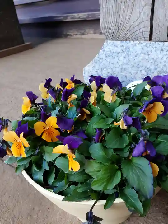 伏木香取神社(茨城県)