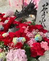 札幌諏訪神社の手水舎