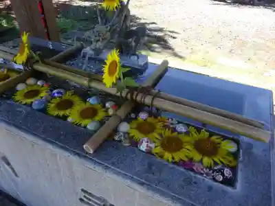 今市報徳二宮神社の手水舎