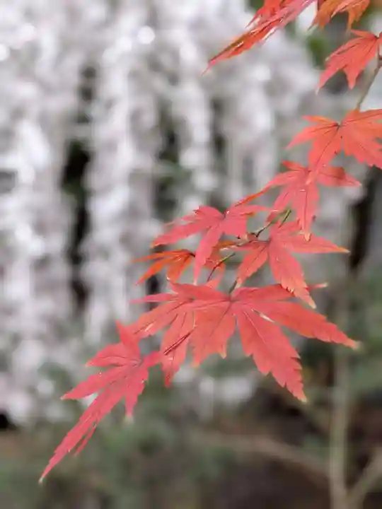 乃木神社(東京都)