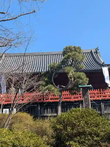 清水観音堂(東京都)