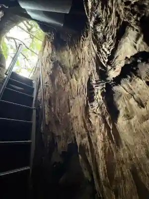 熊野那智大社の{uncategorized: "未分類", other: "その他", undefined: "問題あり", building: "その他建物", grave: "お墓", sacred_gate: "鳥居", guardian: "狛犬", statue: "像", buddha: "仏像", history: "歴史", nature: "自然", garden: "庭園", animal: "動物", pagoda: "塔", temizu: "手水舎", mountain_gate: "山門・神門", sanctuary: "本殿・本堂", subordinate: "末社・摂社", art: "芸術", scenery: "景色", jizo: "地蔵", ema: "絵馬", goshuin: "御朱印", omikuji: "おみくじ", items: "授与品その他", amulet: "お守り", goshuincho: "御朱印帳", eats: "食事", festival: "お祭り", votive_dance: "神楽", shichigosan: "七五三参", wedding: "結婚式", experience: "体験その他", initially: "初詣", around: "周辺", anti_infection: "感染症対策"}