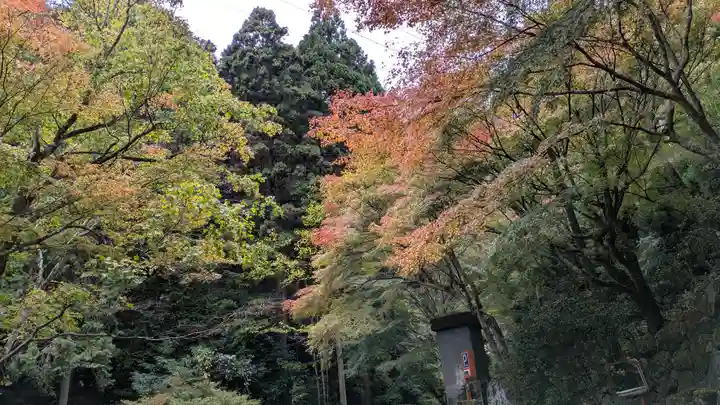 善峯寺(京都府)