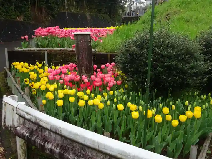 泉蔵寺(神奈川県)