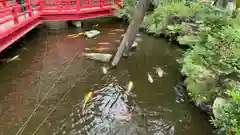 今泉八坂神社(栃木県)