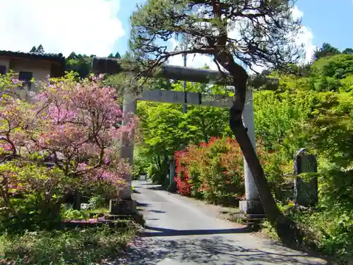 秩父御嶽神社の鳥居