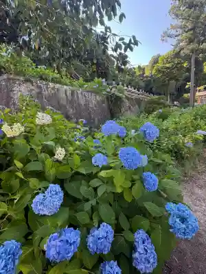 月照寺(島根県)