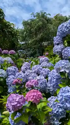善峯寺(京都府)