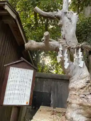 三田天満宮の自然