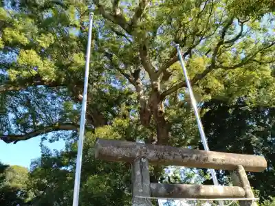 伊勢神明社(静岡県)