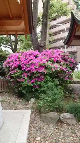 蒲田八幡神社(東京都)