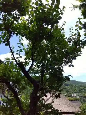 福泉寺(静岡県)