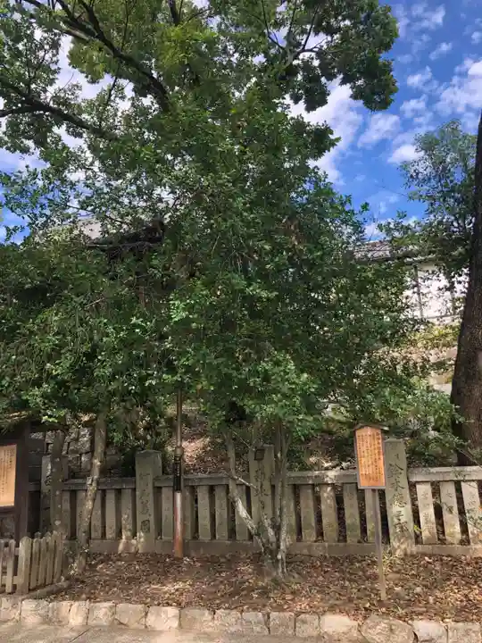 阿智神社(岡山県)
