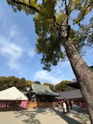 武蔵一宮氷川神社の{uncategorized: "未分類", other: "その他", undefined: "問題あり", building: "その他建物", grave: "お墓", sacred_gate: "鳥居", guardian: "狛犬", statue: "像", buddha: "仏像", history: "歴史", nature: "自然", garden: "庭園", animal: "動物", pagoda: "塔", temizu: "手水舎", mountain_gate: "山門・神門", sanctuary: "本殿・本堂", subordinate: "末社・摂社", art: "芸術", scenery: "景色", jizo: "地蔵", ema: "絵馬", goshuin: "御朱印", omikuji: "おみくじ", items: "授与品その他", amulet: "お守り", goshuincho: "御朱印帳", eats: "食事", festival: "お祭り", votive_dance: "神楽", shichigosan: "七五三参", wedding: "結婚式", experience: "体験その他", initially: "初詣", around: "周辺", anti_infection: "感染症対策"}