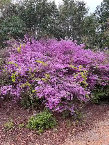 貴船神社の自然