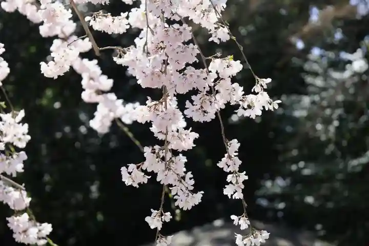 水無瀬神宮(大阪府)