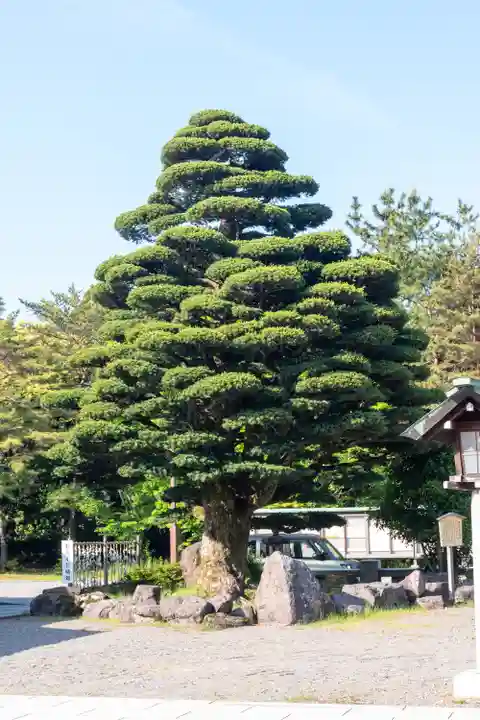 石川護國神社(石川県)