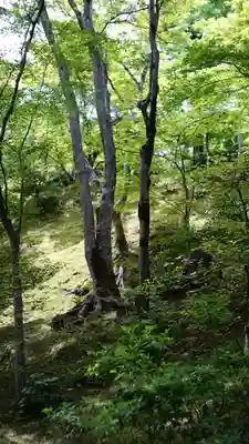 常寂光寺(京都府)