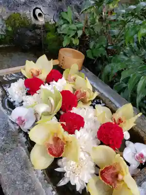 本郷氷川神社(東京都)