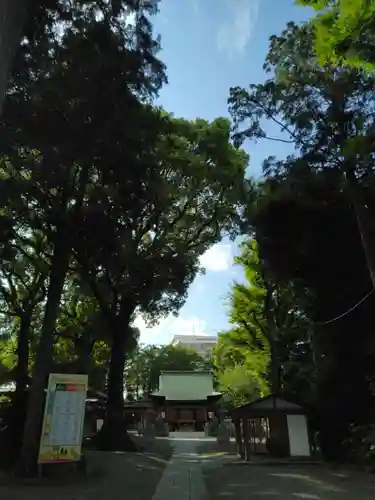 星川杉山神社(神奈川県)