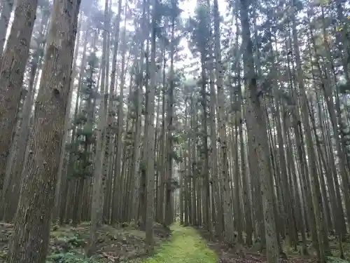若宮神社(桧倉)(兵庫県)