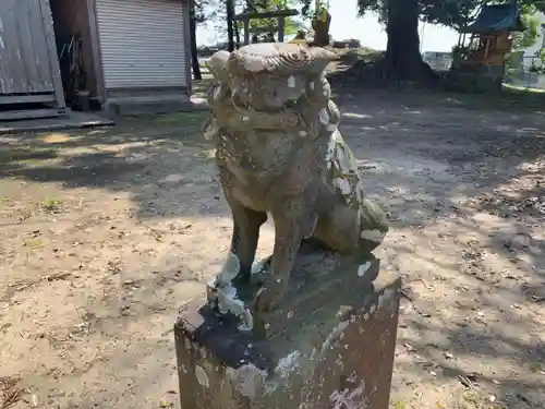 柏原神社の狛犬