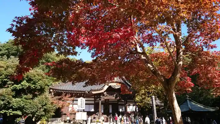 深大寺の本殿・本堂