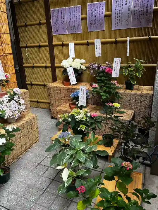 十番稲荷神社(東京都)