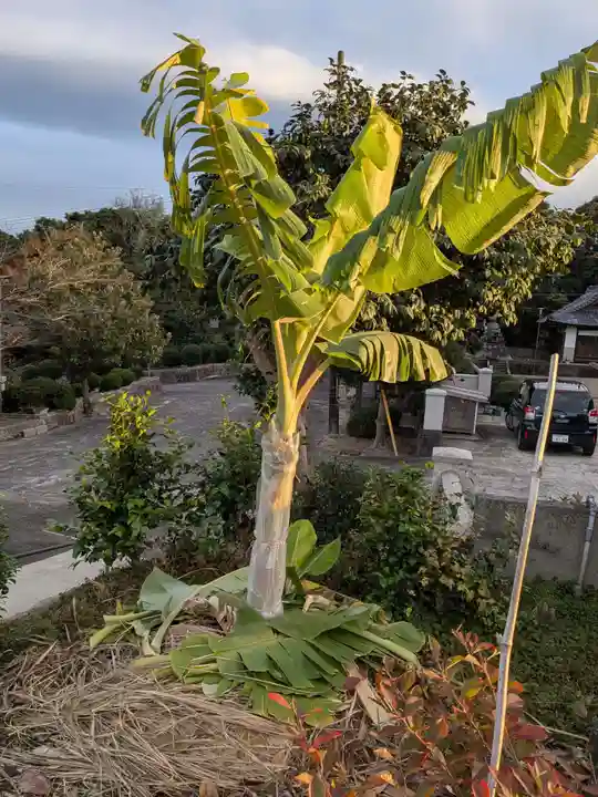 全忠寺(愛知県)