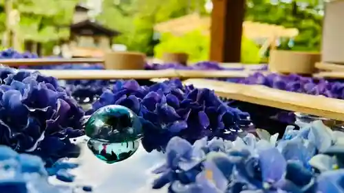 土津神社｜こどもと出世の神さまの手水舎