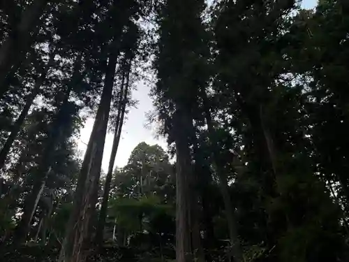 大宮温泉神社(栃木県)
