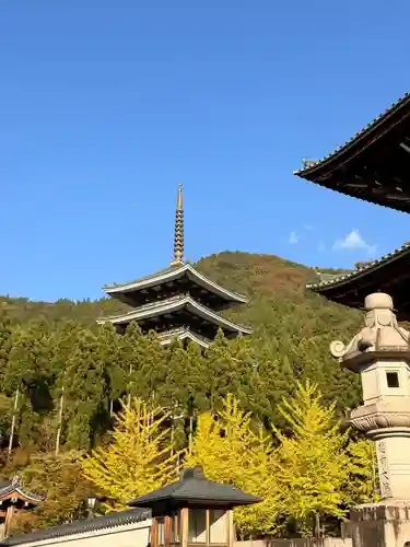 清大寺(越前大仏)(福井県)