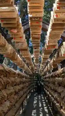 川越氷川神社(埼玉県)