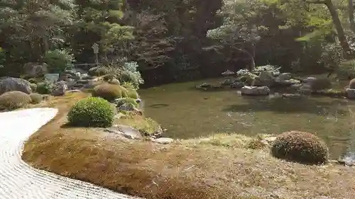 知恩院の庭園