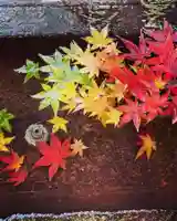 白山神社の手水舎