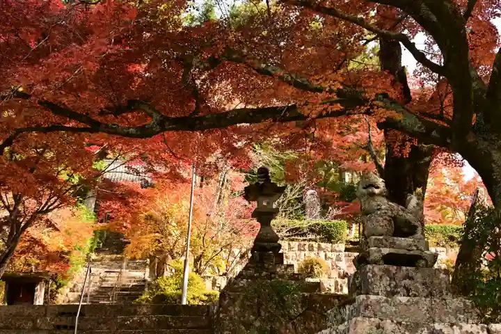 地福寺(高知県)