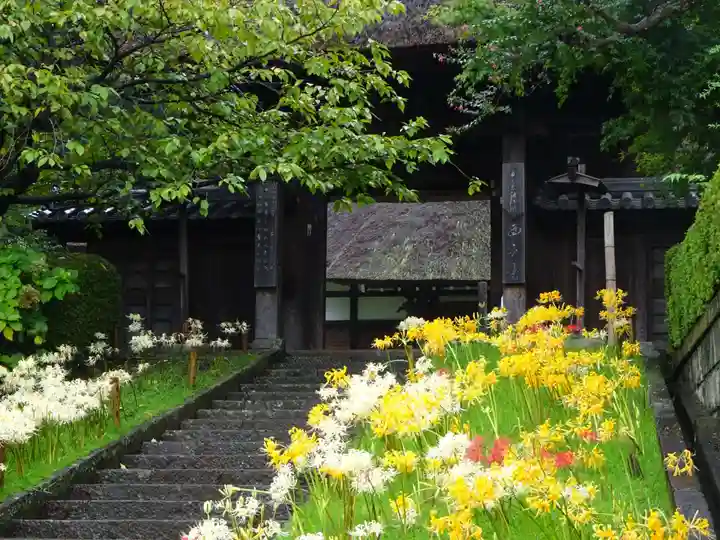 横浜 西方寺の山門・神門