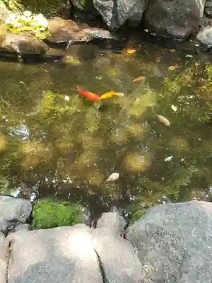 熊野神社(東京都)