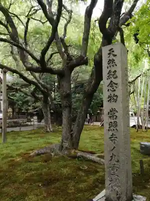 常照皇寺の自然