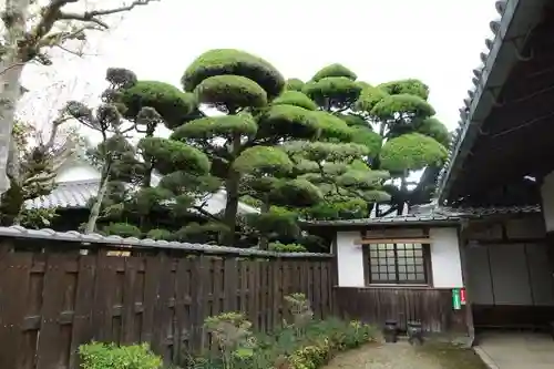 中宮寺の庭園