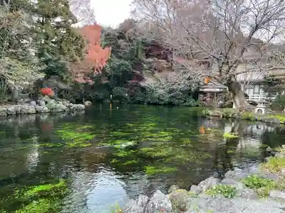 富士山本宮浅間大社(静岡県)