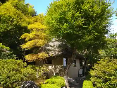 華厳寺(鈴虫寺)(京都府)