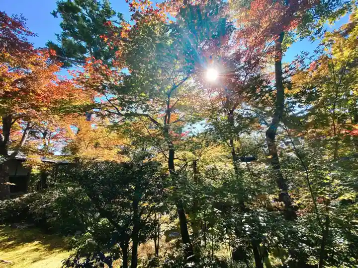 大法院(京都府)
