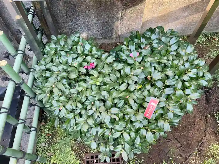 烏森神社(東京都)